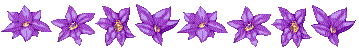 flwrline4.gif - 5055 Bytes