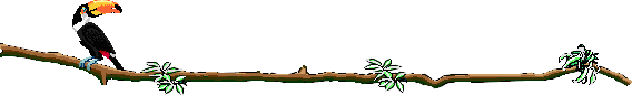 toucanbar.gif - 3479 Bytes